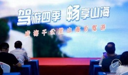 威海企业爆料事件视频最新,揭露真相，探寻企业生存困境